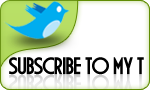 twitter Follow Me
